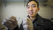 Sticky tape & phosphorus the key to ultrathin solar cells: ANU media release 2