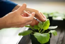 Stopping plants from passing viruses to their progeny