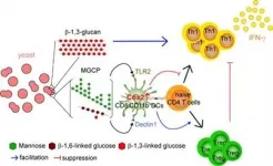 Stopping the onset and progression of intractable immune diseases