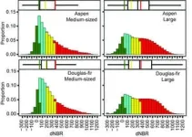 Strange burn: new research identifies unique patterns in Utah wildfires 2