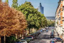 Street trees close to the home may reduce the risk of depression