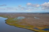 Striking ecological impact on Canadas Arctic coastline linked to global climate change