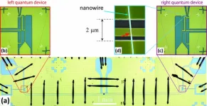 Strong coupling between Andreev qubits mediated by a microwave resonator