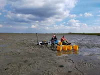 Stronger storms free more nutrients from mud flats