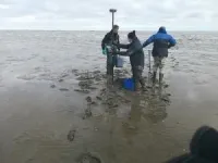 Stronger storms free more nutrients from mud flats 2