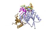 Structure of enzyme seen as target for ALS drugs