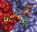 Structure of enzyme seen as target for ALS drugs 3