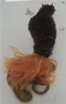 Study adds new sea cucumber species to the research toolbox 2