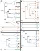 Study analyzes role of PARP enzyme in eukaryotes