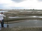 Study: Centuries of sand to grow Mississippi Delta