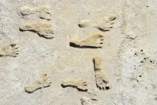 Study confirms age of oldest fossil human footprints in North America