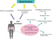 Study examines fermented milks potential benefits for decreasing high blood pressure through modulation of gut microbiota