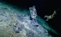Study examines the role of deep-sea microbial predators at hydrothermal vents