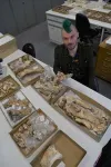 Study finds 107-million-year-old pterosaur bones are oldest in Australia 2