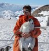 Study finds Emperor penguin in peril