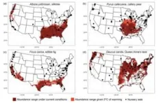 Study finds plant nurseries are exacerbating the climate-driven spread of 80% of invasive species 3
