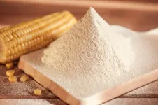 Study finds refined corn flour with added corn bran can lower cholesterol