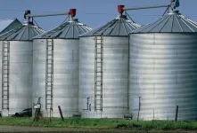 Study: How farmers decide to store or sell their grain