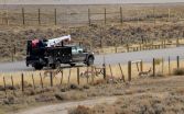 Study identifies gauntlet of obstacles facing migrating pronghorn in greater Yellowstone 3