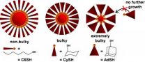 Study improves understanding of surface molecules in controlling size of gold nanoparticles