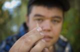 Study led by indigenous people uncovers grizzly bear 'highway' 3