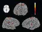 Study links emotional and neural responses to musical performance