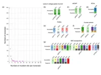 Study maps bed bugs’ genomes in unprecedented detail to find out why they just won’t die