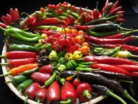 Study of chilli genetics could lead to greater variety on our plates