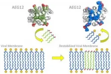 Study of mosquito protein could lead to treatments against life-threatening viruses