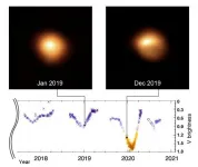 Study of supergiant star Betelgeuse unveils the cause of its pulsations