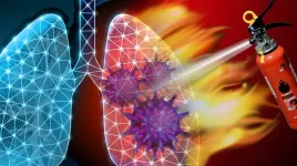 Study offers new detail on how COVID-19 affects the lungs