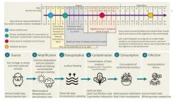 Study on E. coli outbreak in the UK demonstrates increasing impact of climate change on public health and food security