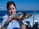 Study provides new information about the sea turtle 'lost years' 2