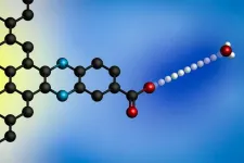 Study reveals a reaction at the heart of many renewable energy technologies