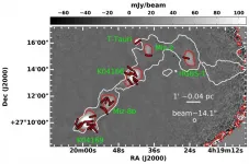 Study reveals diverse magnetic fields in solar-type star-forming cores