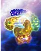 Study reveals how fusion protein triggers cancer