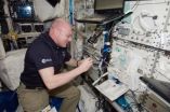 Study reveals immune system is dazed and confused during spaceflight