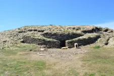 Study reveals our European ancestors ate seaweed and freshwater plants