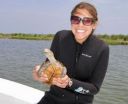 Study reveals that animals contribute to seagrass dispersal