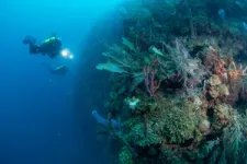 Study shows how biodiversity of coral reefs around the world changes with depth 2