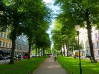 Study shows making cities greener doesn’t just capture carbon – it reduces it