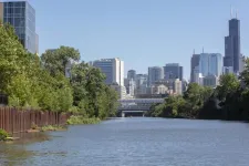 Study shows natural shorelines support greater biodiversity in the chicago river