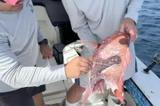 Study takes a ‘bite’ out of shark depredation using citizen science