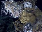 Study tests theory that life originated at deep sea vents