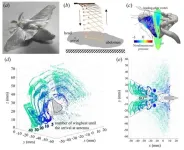 Study uncovers how silkworm moths odor detection may improve robotics