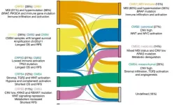 Study uncovers mutated driver genes in colorectal cancer: 9 novel to CRC and 24 previously undetected in any cancer