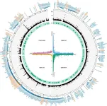 Study with over 11,000 individuals of African descent finds genetic variants linked to glaucoma