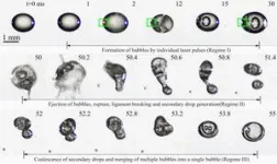 Studying bubbles can lead to more efficient biofuel motors 2