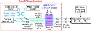 Successful optical biosensing using dual optical combs: High sensitivity and rapid detection of biomolecules with promising prospects 2