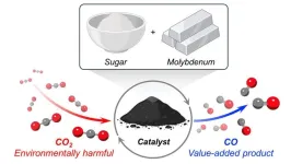 Sugar-based catalyst upcycles carbon dioxide